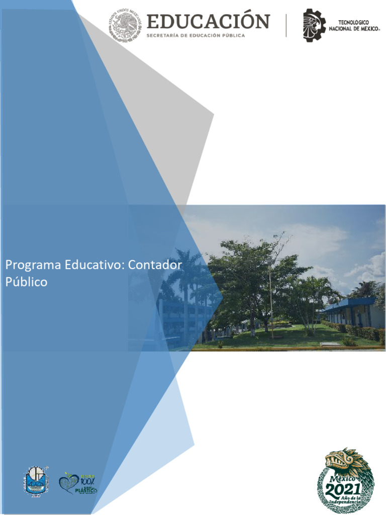 Programa de Contador Público COPU-205 | PDF | Contador | Auditoría