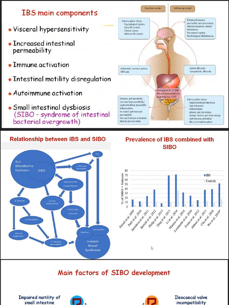 IBS IBD Lact Int Celliac | PDF