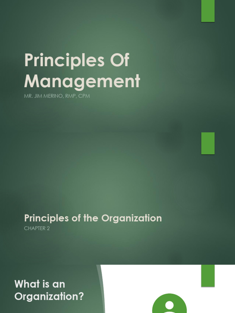 Principles of Organizational Management | PDF | System | Analytics