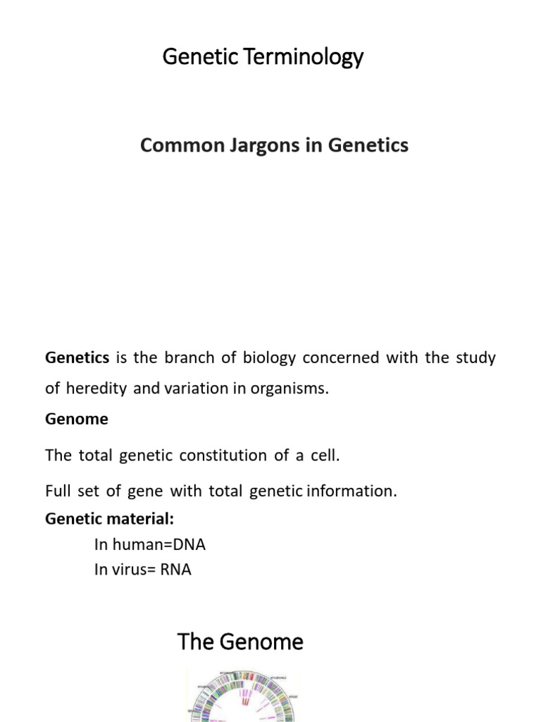 Essential Genetic Terminology Explained | PDF | Genome | Genotype