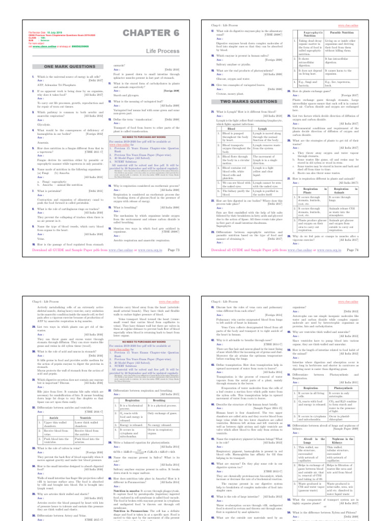 CBSE Class 10 Life Processes Guide PDF | PDF | Digestion | Vein