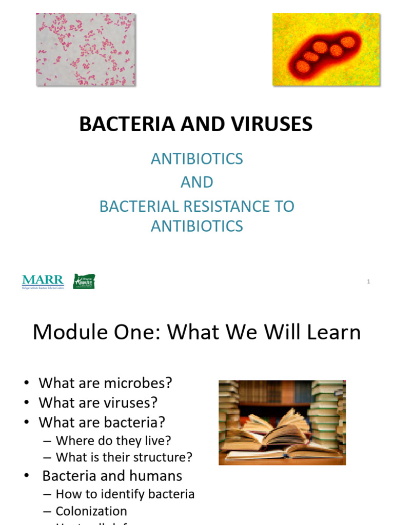 Understanding Virus-Induced Diseases | PDF | Virus | Bacteria