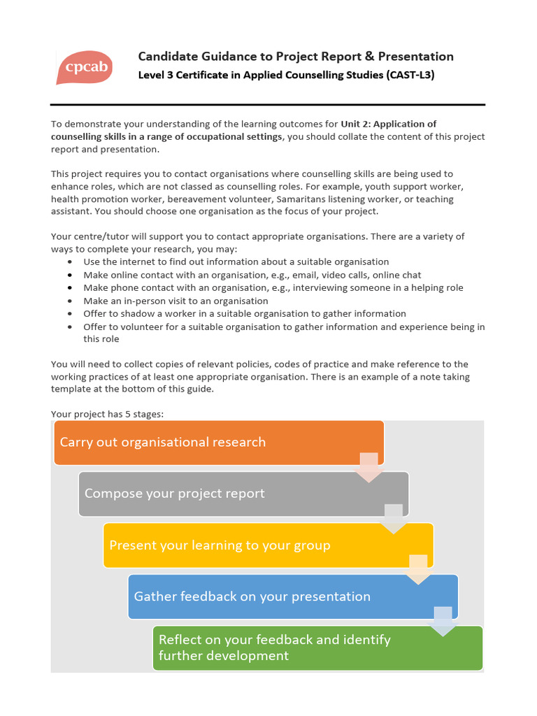 Project Report Guide for CAST-L3 | PDF | Cognition | Learning