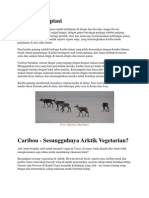 Caribou Adaptasi