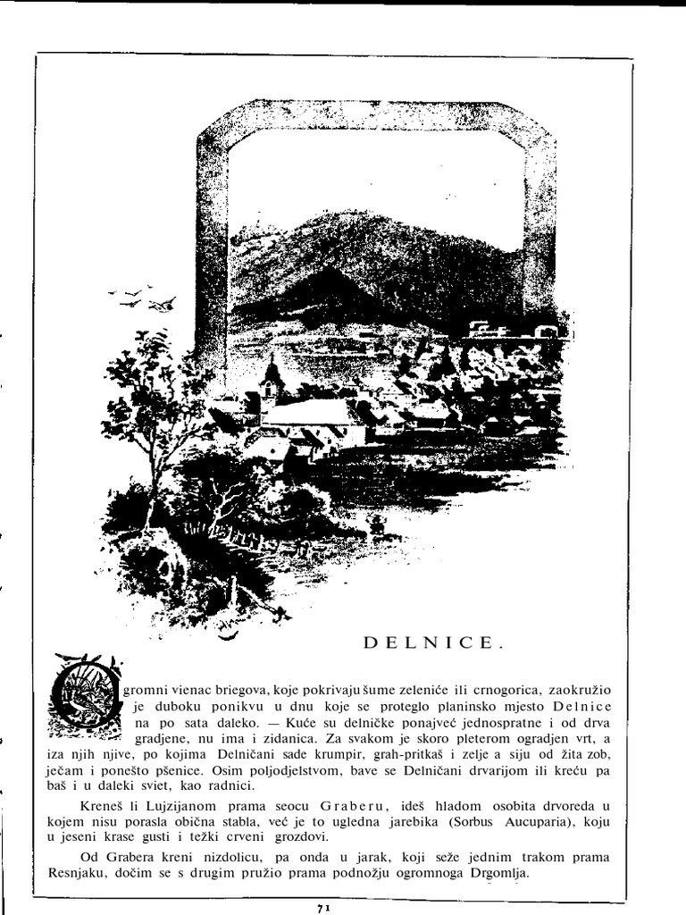 Delnice | PDF