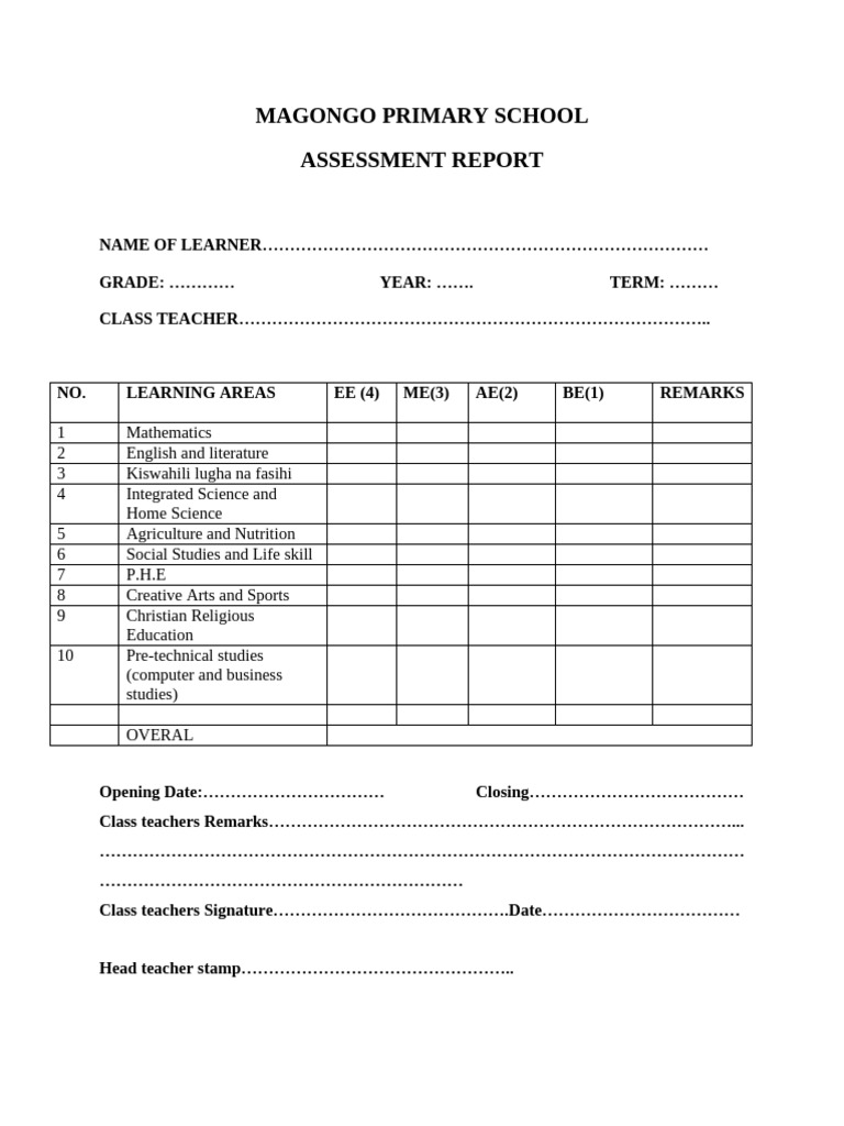Magongo Primary School Assessment Report | PDF