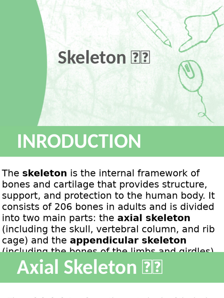 Skeletons ?? | PDF | Skeleton | Bone