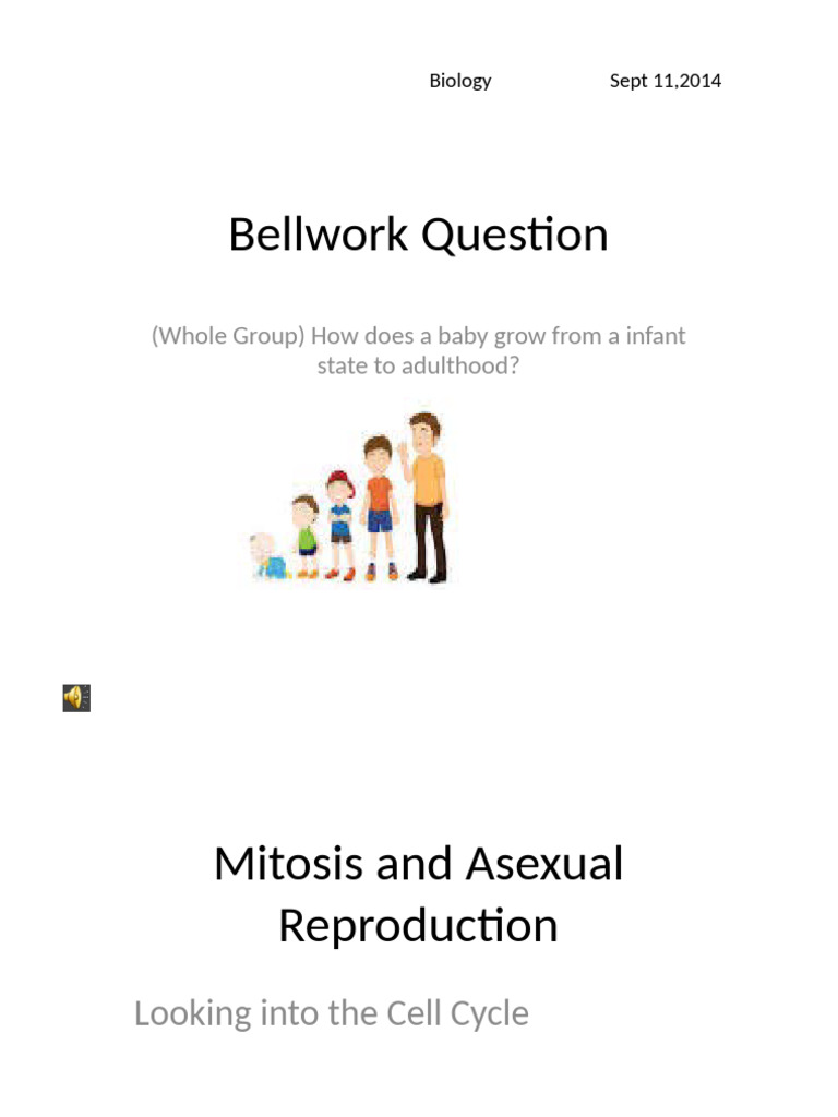 Understanding the Cell Cycle and Mitosis | PDF | Mitosis | Chromosome