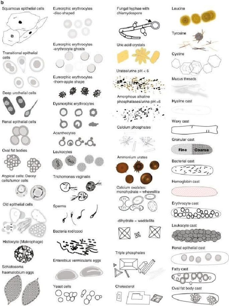Image - To - PDF - 17082025 - 200010 ...... 2 | PDF