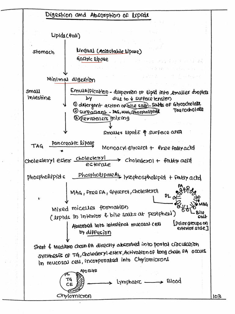 DR Jambhulkar Notes | PDF