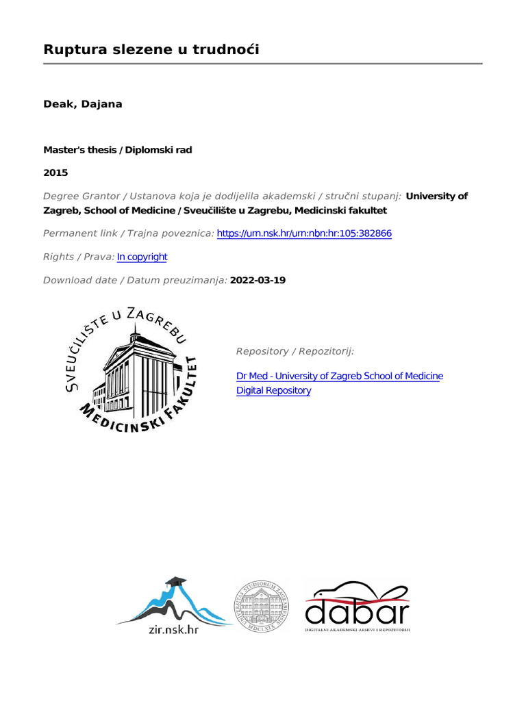 Deak Dajana Mef 2015 Diplo Sveuc | PDF