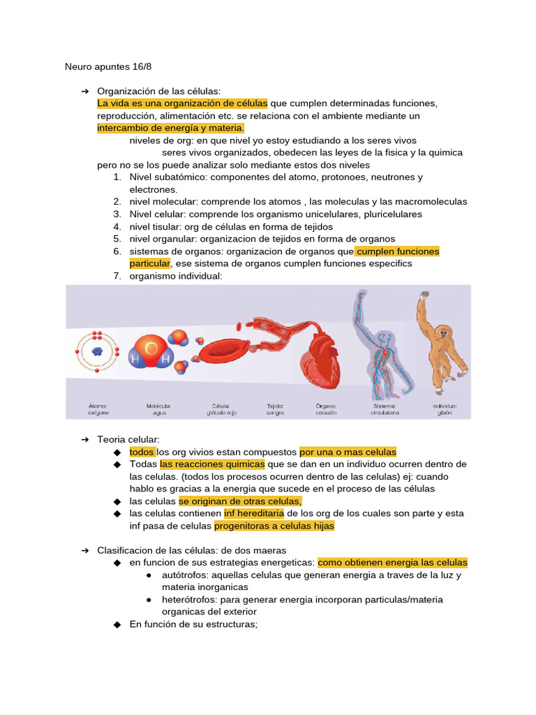 Neurociencias 16 - 8 | PDF | Biología Celular) | Organismos