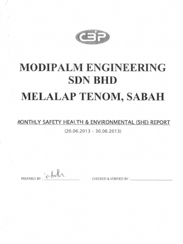 SHE Report | PDF