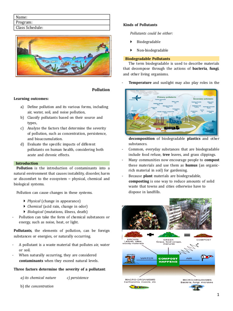 Understanding Pollution and Its Effects | PDF | Pollution | Biodegradation