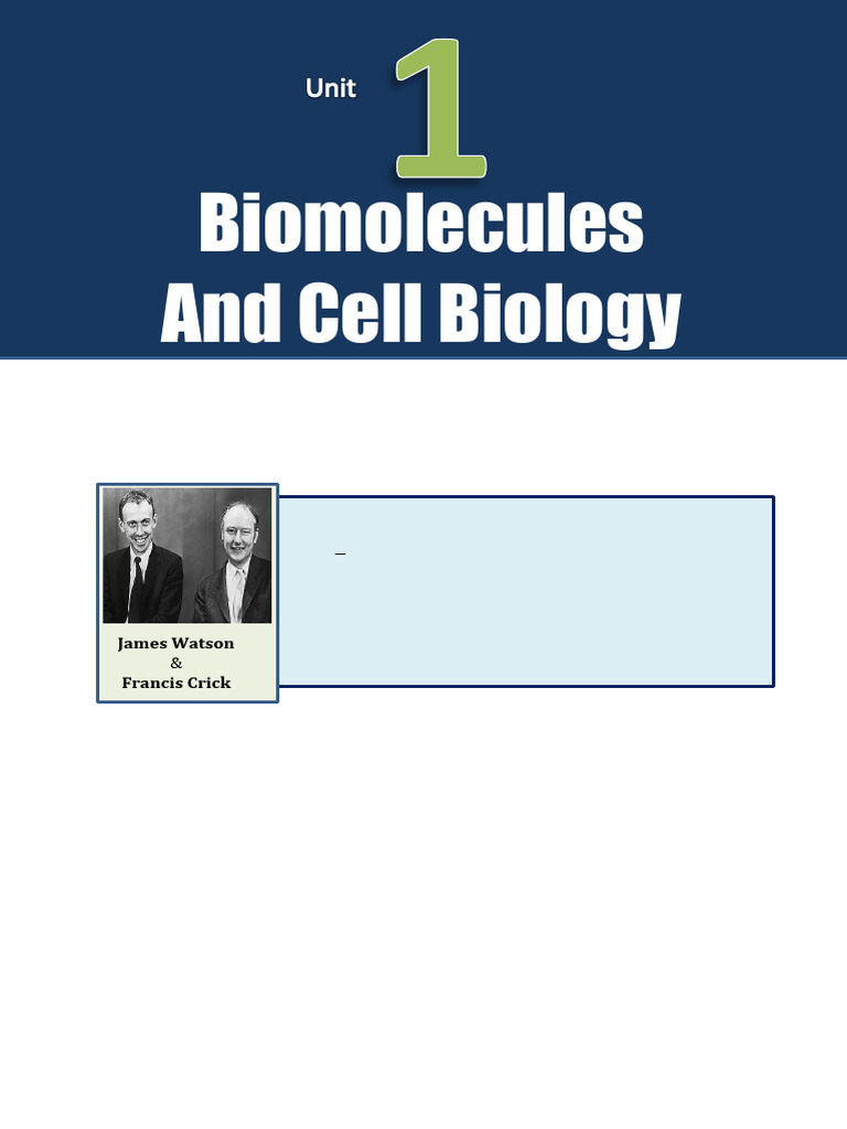 1 Biomolecules and Cell Biology[by B3 Sir] | PDF | Rna | Nucleotides