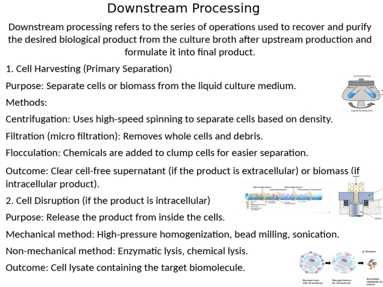 Downstream Proc WPS Office | PDF
