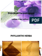 Praktikum Farmakognosi Herba Folium