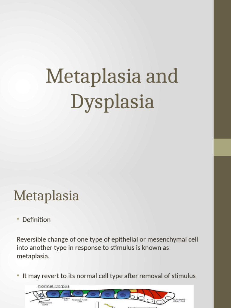 Metaplasia and Dysplasia | PDF | Epithelium | Esophagus