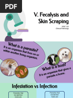 McMaster Fecal Egg Count Method | PDF
