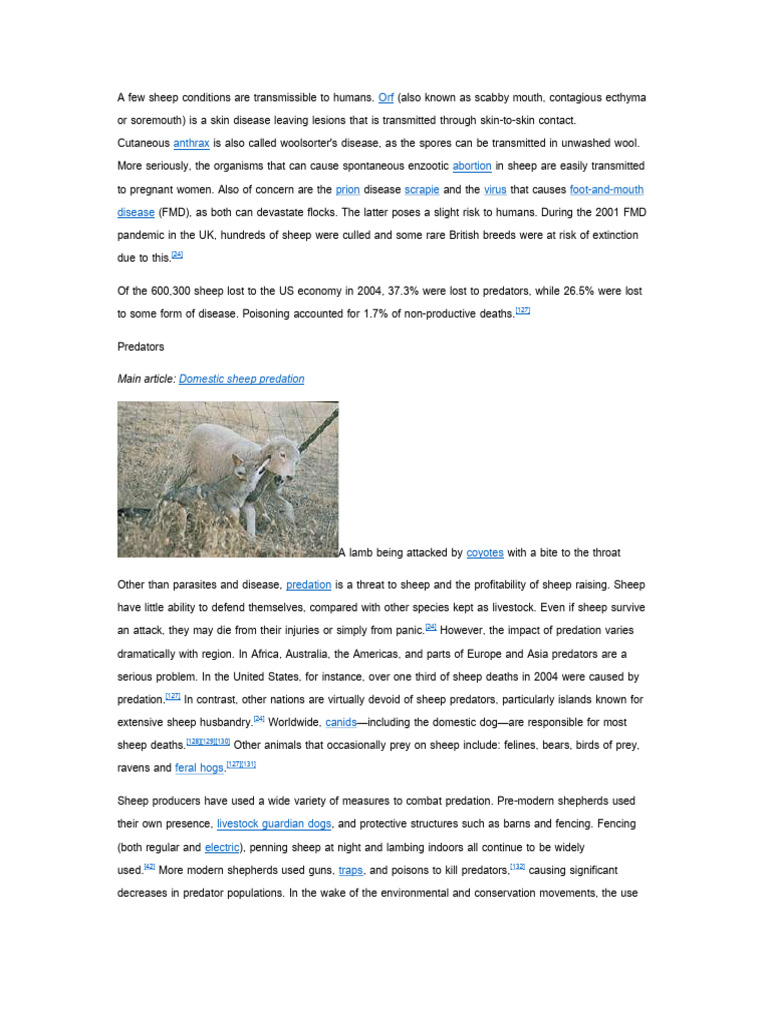 Sheep 11 | PDF | Sheep | Livestock