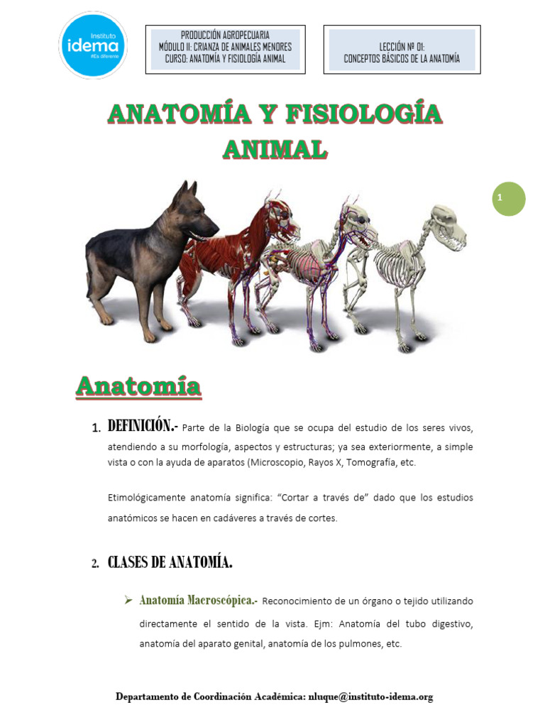 Anatomía Y Fisiología Animal Conceptos Básicos Pdf Anatomía