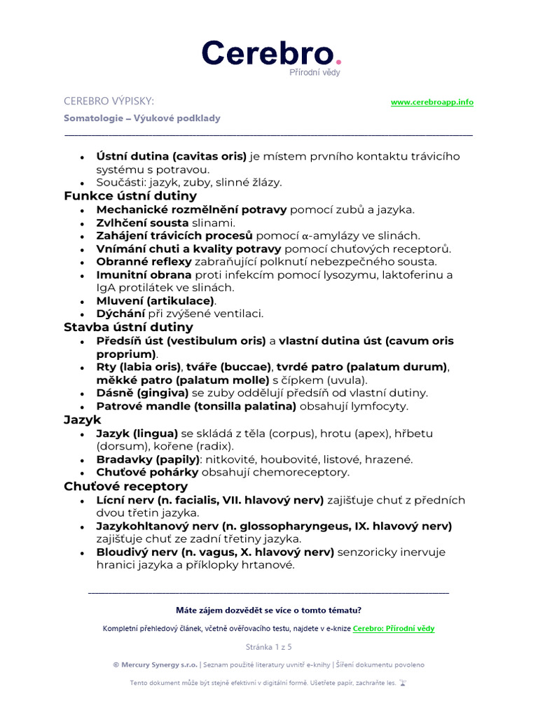 Dutina Ústní - CEREBRO | PDF