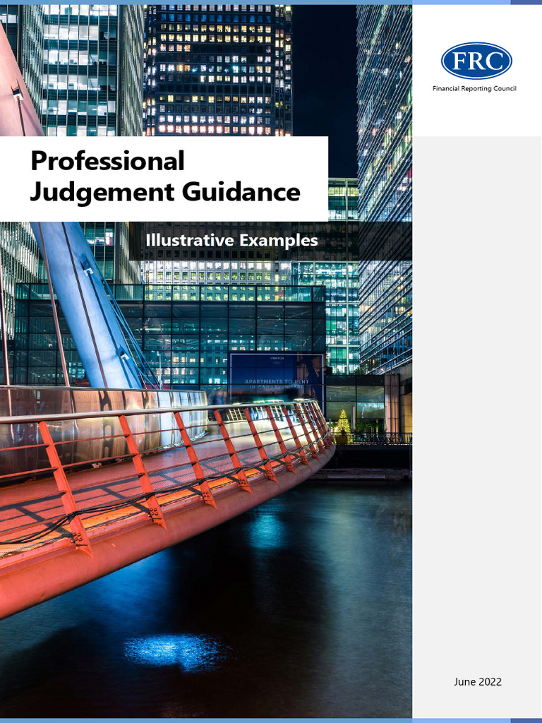 Professional Judgement Framework Guide | PDF | Going Concern | Audit