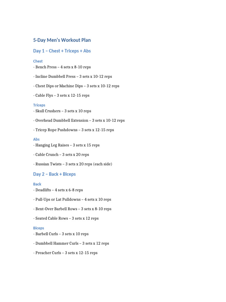 5 Day Workout Plan | PDF