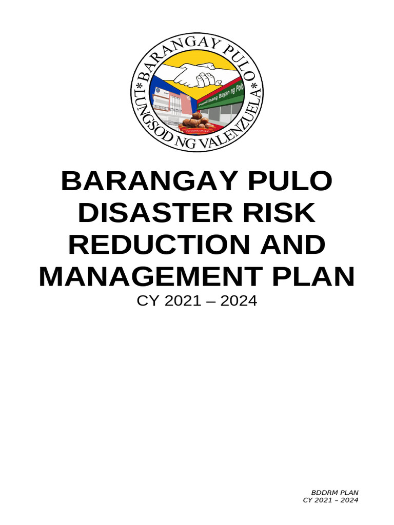 Barangay Pulo BDRRM Plan 2021-2024 | PDF | Emergency Management ...