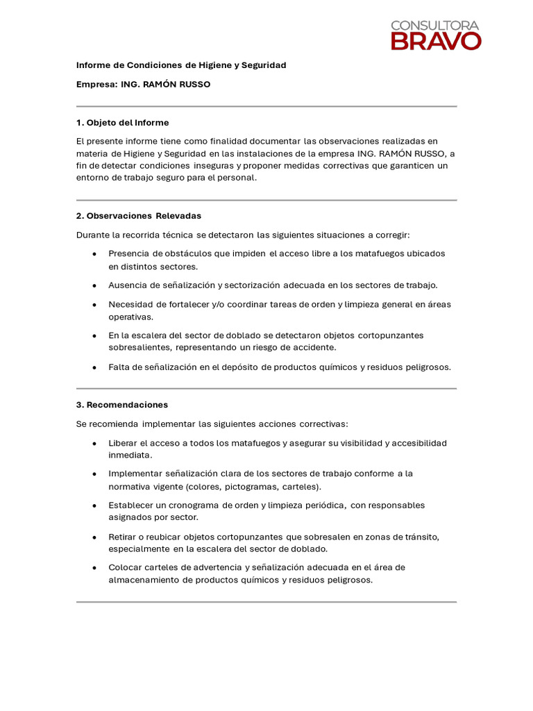 Informe de Higiene y Seguridad Laboral | PDF