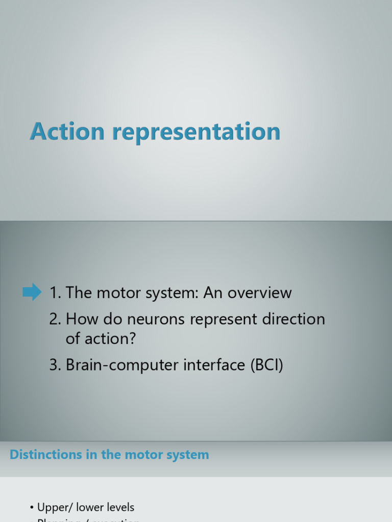 Action Representation Lecture | PDF | Motor Neuron | Neuroscience