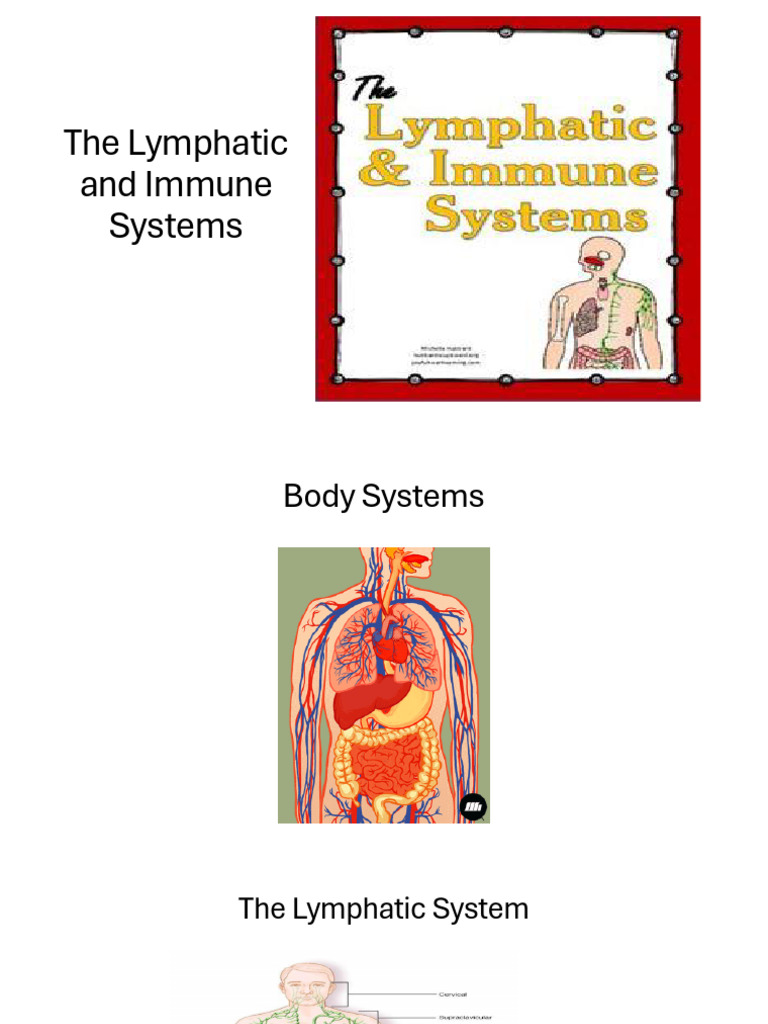 The Lympthatic and Immune System | PDF | Lymphatic System | Lymph