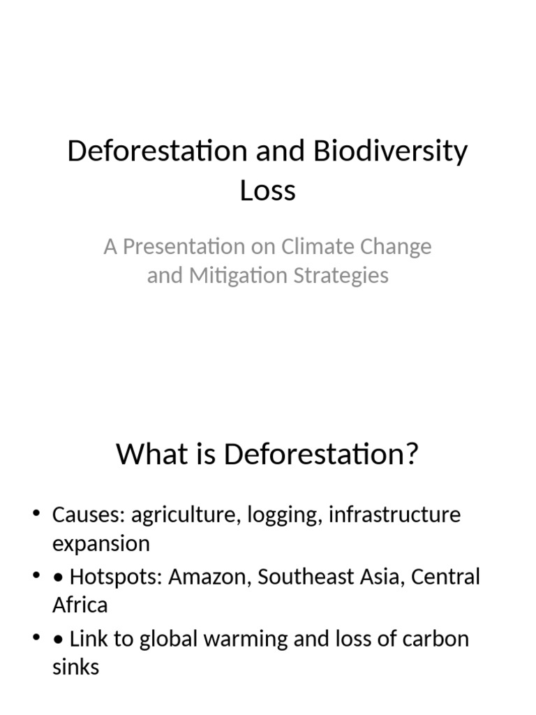 Deforestation's Impact on Biodiversity | PDF