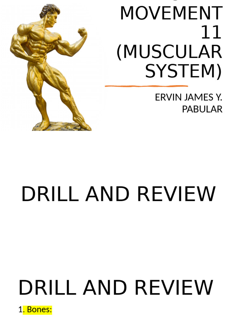 Human Movement - Muscular System | PDF | Anatomical Terms Of Motion ...