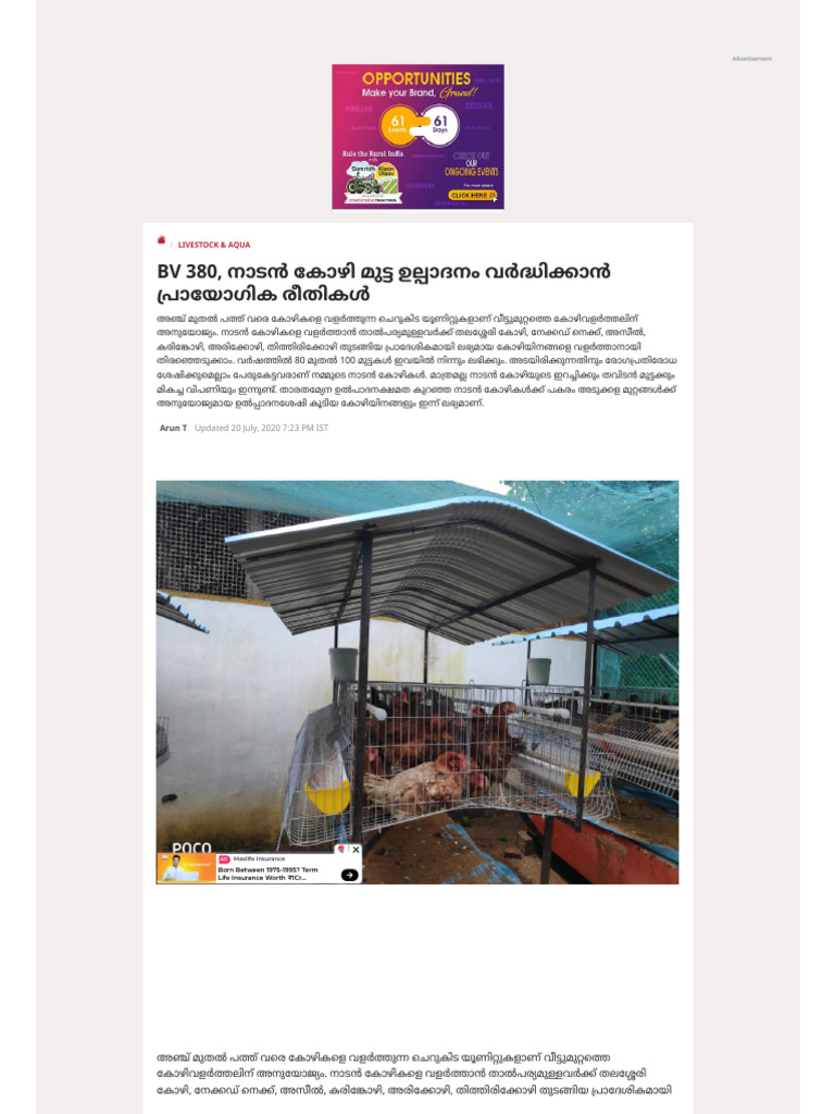 BV 380 | PDF