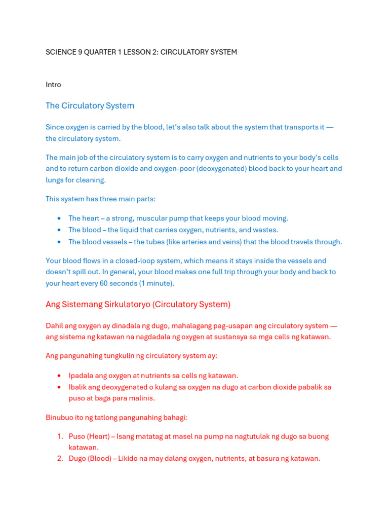 Overview of the Circulatory System | PDF | Circulatory System | Heart