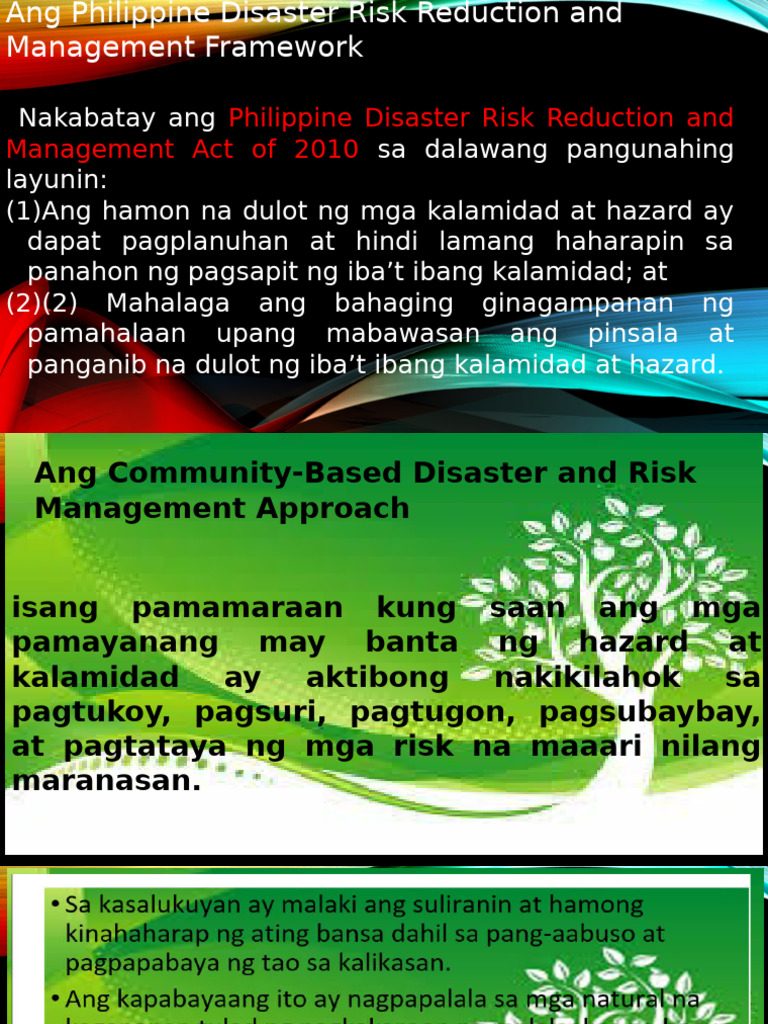 Philippine Disaster Risk Reduction and Management Act of 2010 | PDF