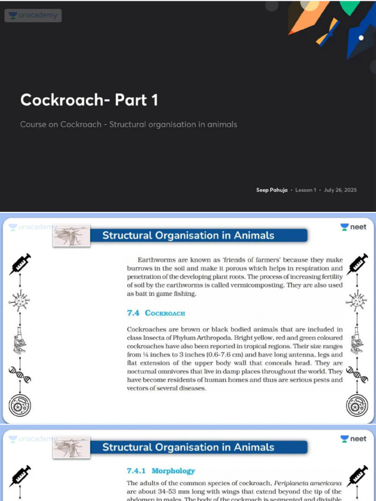 Cockroach - Part 1 No Anno 1753876976227 | PDF