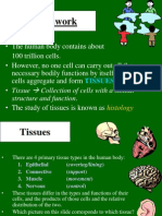 Histology