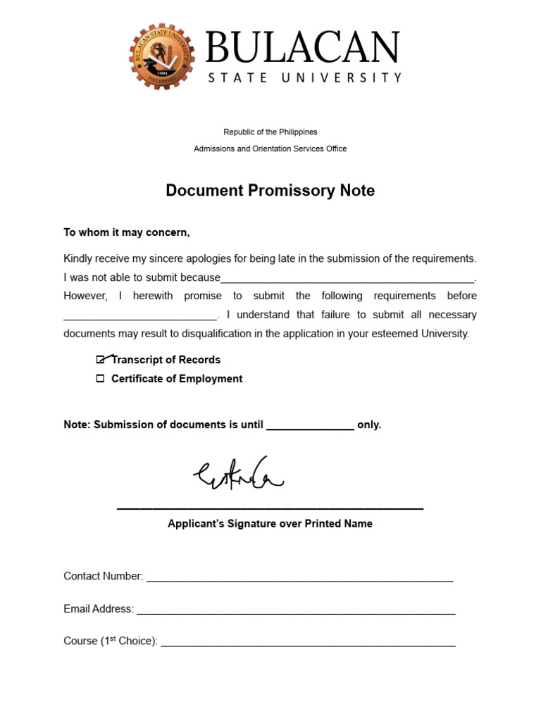 Document Promissory NoteBSU | PDF