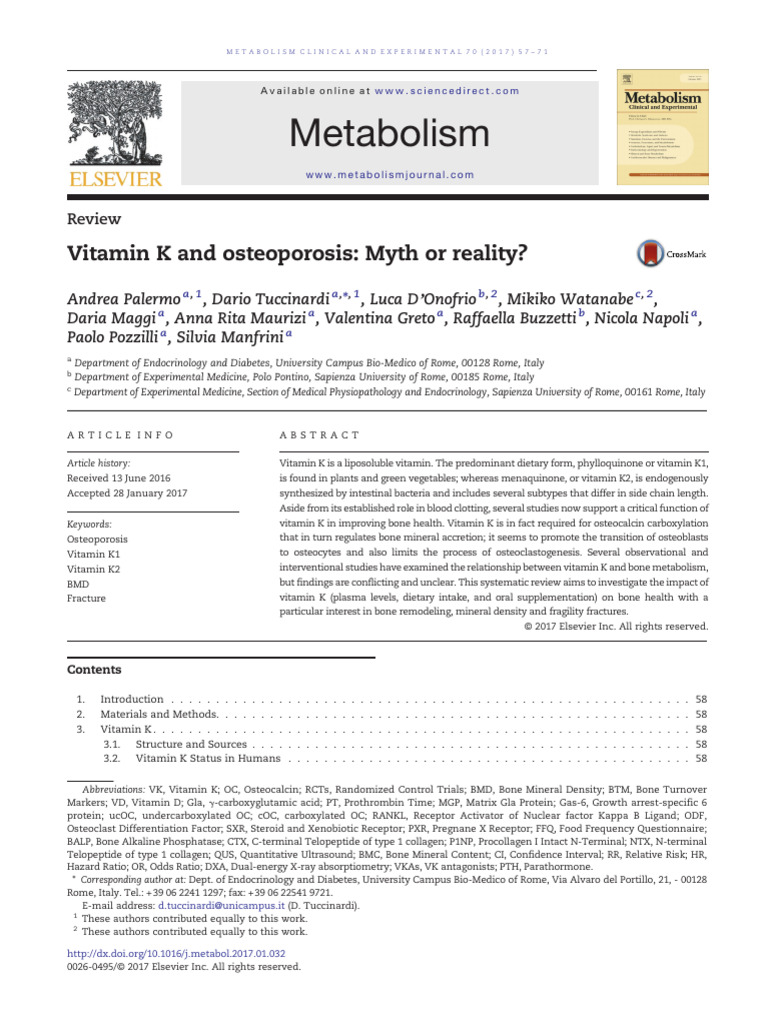 Vitamin K's Role in Bone Health | PDF