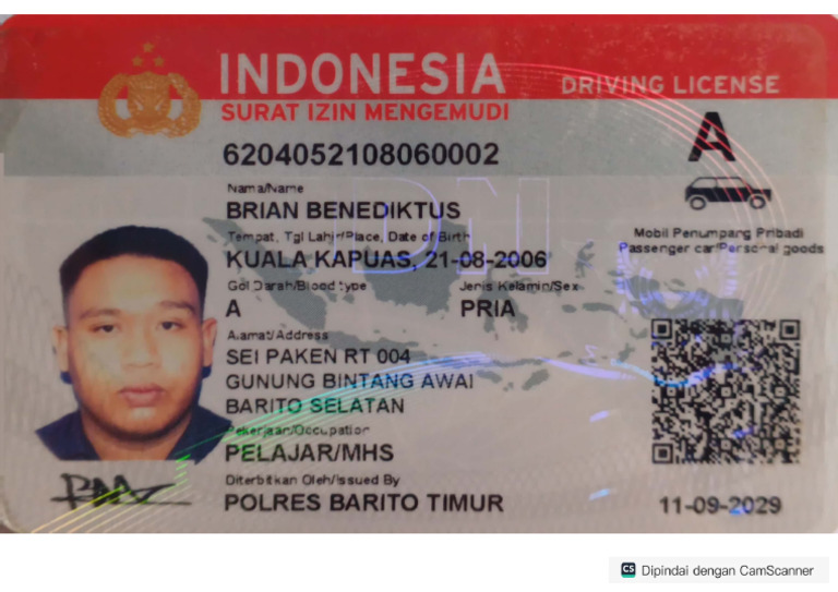 SIM A Brian | PDF