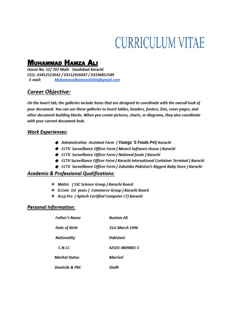 Muhammad Hamza Ali - CV & Work Experience | PDF