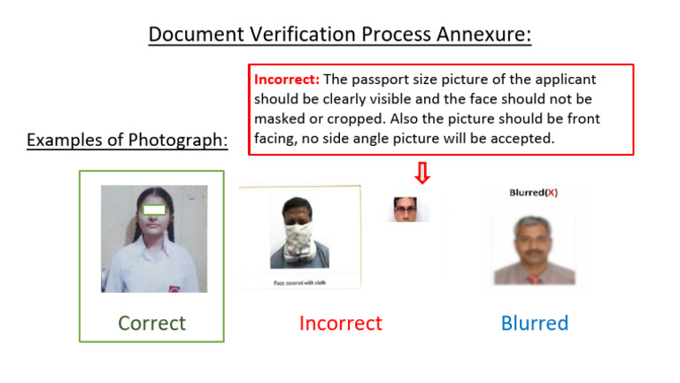 Photo Graph Sample 1 | PDF