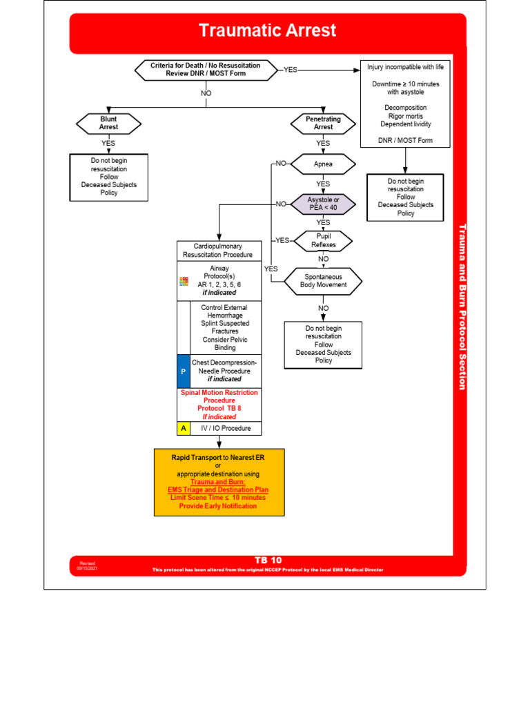 TB - 10 Traumatic Arrest | PDF | Cardiopulmonary Resuscitation | Major ...