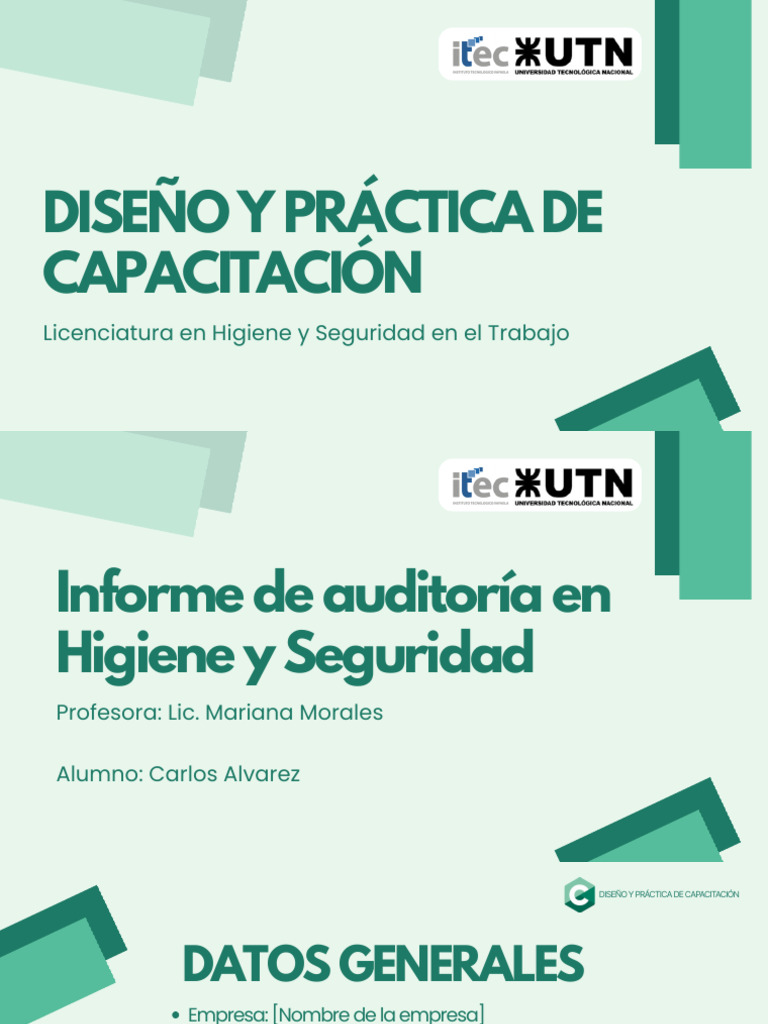 Auditoría de Higiene y Seguridad Laboral | PDF | Seguridad y salud ...