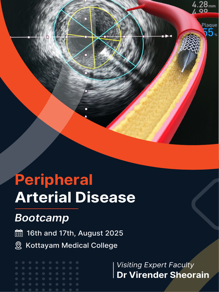 Peripheral Arterial Disease - Bootcamp | PDF | Interventional Radiology ...