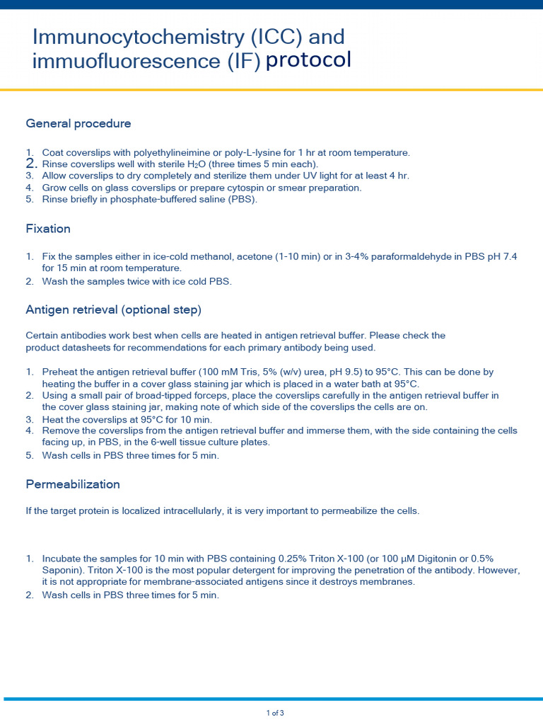 ICC and IF Staining Protocol Guide | PDF | Antibody | Immunohistochemistry