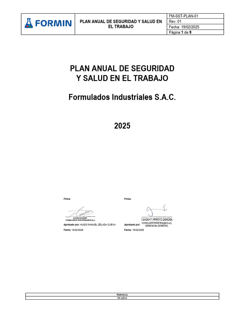 Plan Anual de Seguridad y Salud 2025 | PDF | Seguridad y salud ...