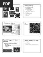 Fungi Characteristics and Classification | PDF | Fungus | Organisms